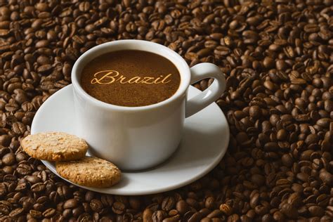 Brazilian Coffee, Your Essential Guide