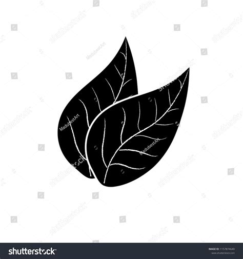 Tobacco Leaf Vector at Vectorified.com | Collection of Tobacco Leaf ...