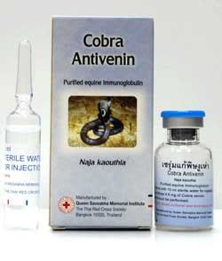 Cobra Snake Antivenom – Snake-Antivenin.com