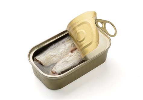 Canned sardines from Morocco - export import company