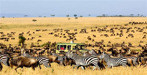 10 days Maasai Mara, Ngorongoro and Serengeti safari | Kenya Safaris