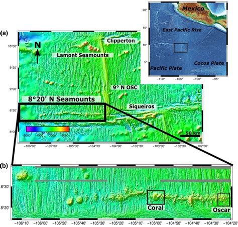 Location and morphology of the 8°20′N seamount chain. (a) SeaSat 1-km ...