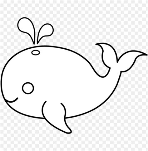 Cute Whale Drawing Cute Whale Drawing Management Science - Animals Easy ...