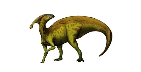 Parasaurolophus Pictures & Facts - The Dinosaur Database