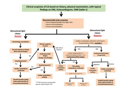 Emerging Topics in Heart Failure: New Paradigms in Cardiac Amyloidosis ...