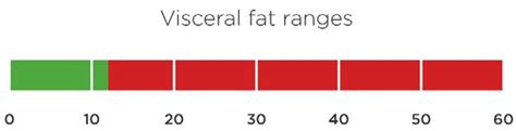 Visceral Fat- Types, Range, Risks and How to Reduce Visceral Fat