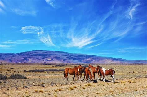 15 posti da vedere in Argentina