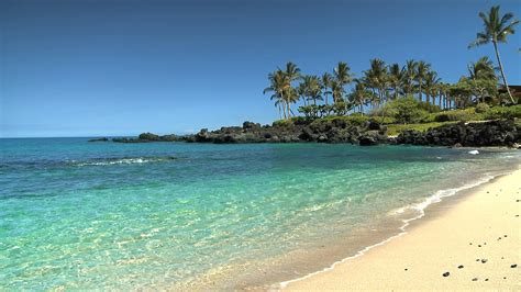 Hawaii Beach - Point Me to the Plane