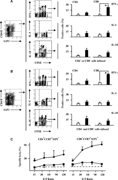 Cytokine production and CTL activity of memory T cells. (A and B ...