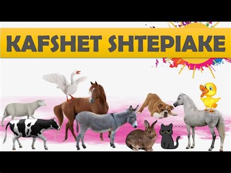 Kafshet shtepiake 👨‍🌾🐄 - YouTube