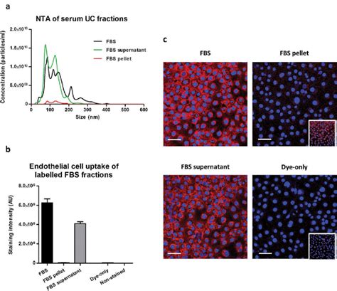 Uptake of lipophilic dye-labelled serum fractions in mouse cardiac ...