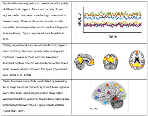 Acute effects of lysergic acid diethylamide (LSD) on resting brain function