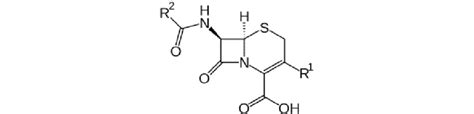 6. Structure of cephalosporins. | Download Scientific Diagram