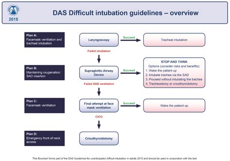 Das Difficult Airway Algorithm