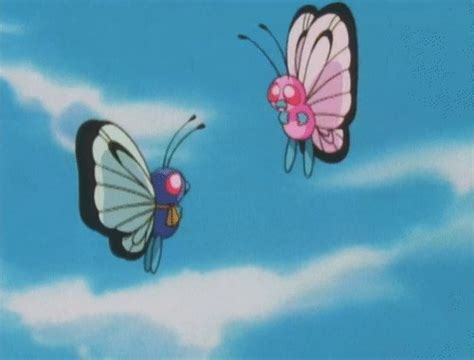 Pokémon Clip: Ash, Pikachu, Brock and Misty say goodbye to Butterfree ...