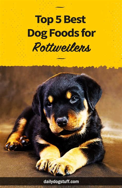 Top 5 Best Dog Foods for Rottweilers | Dog training, Best dog food ...