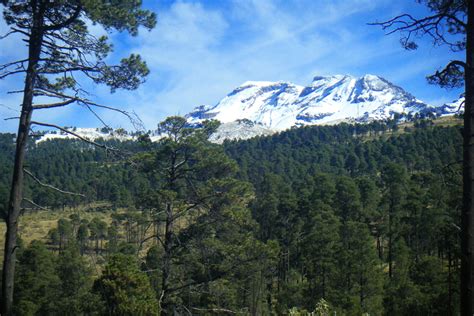 LAS ÁREAS NATURALES PROTEGIDAS DE MÉXICO RESGUARDAN 13 POR CIENTO DE ...