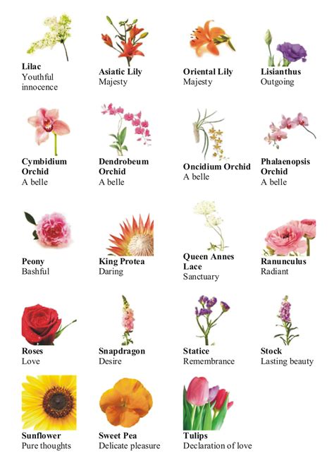 25+ bästa Different types of flowers idéerna på Pinterest