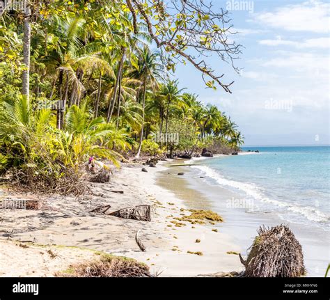 Starfish Beach panama Stock Photo - Alamy