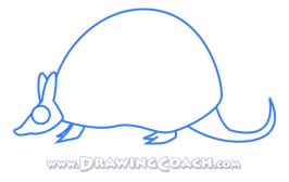 How to Draw a Cartoon Armadillo