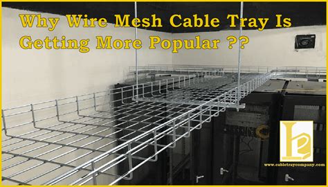 Manufacturer Of Wire Mesh Cable Tray In Dubai Wire Mesh Cable Tray ...