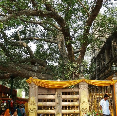 BODHI TREE (Bodh Gaya) - 2022 What to Know BEFORE You Go