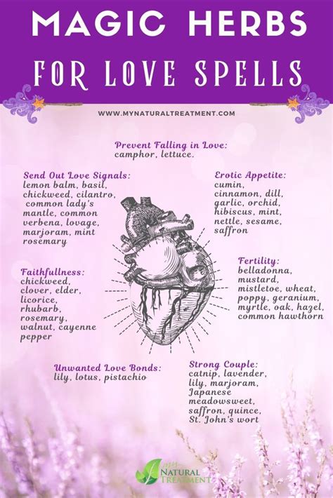 15 Best Herbs for Love Spells and Magic Recipes DIY | Magic herbs ...