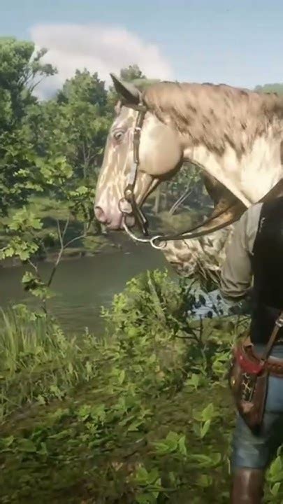 Arthur's horse Buell is awesome, gifted by Hamish Sinclair #rdr2 # ...