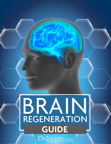 Brain Regeneration Guide by drtalks - Issuu