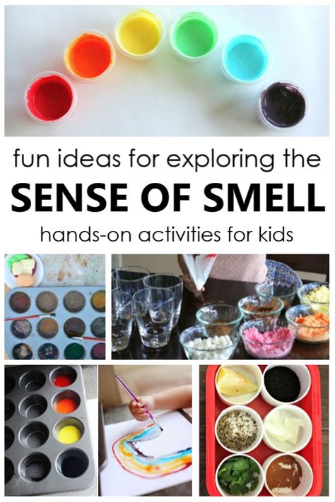 20 Fun Ideas for Exploring the Sense of Smell | Senses preschool ...