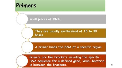 Molecular biology Techniques I - ppt download