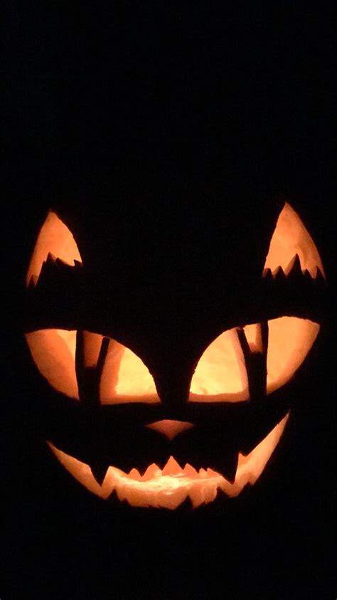 Cat Jack-O-Lantern | Cat jack o lantern, Cat party, Halloween this year