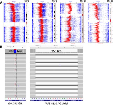 Single nucleotide polymorphism (SNP) array data using Illumina ...