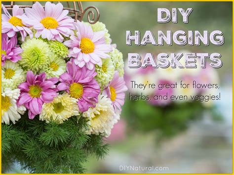 DIY Hanging Baskets: Make Your Own and Even Grow Food In Them!