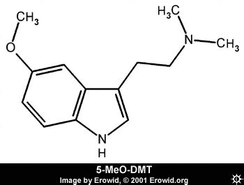 Erowid Chemicals Vaults : Molecules : 5-meo-dmt_2d