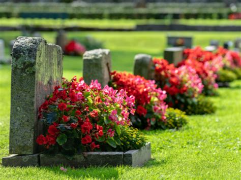 3 Grave Digging Tools That Make Funerals Easier to Handle | Equipter