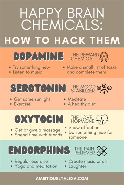 Happy Brain Chemicals: What They Are and How to Hack Them - Ambitiously ...