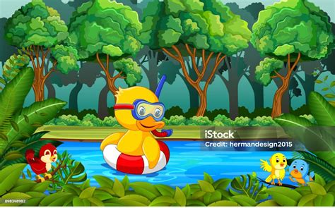 Bebek Berenang Di Sungai Ilustrasi Stok - Unduh Gambar Sekarang - Alam ...