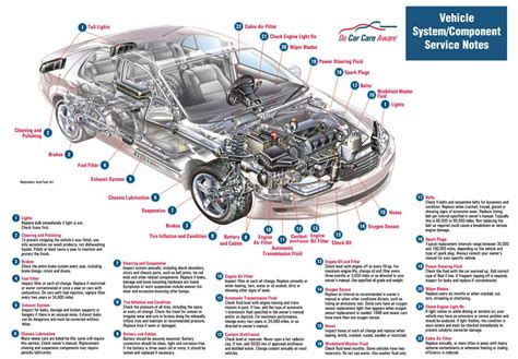 Exterior Car Body Parts Names Diagram