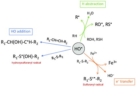 The chemical reactions of the hydroxyl radical. | Download Scientific ...