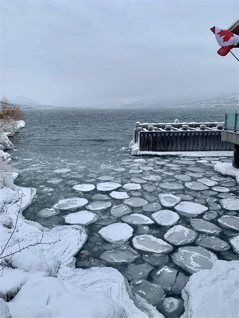 This rare ice formation looks like cobblestones : r/mildlyinteresting