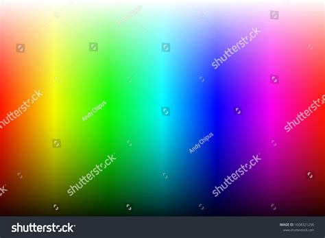 Rectangle Color Palette True Vibrant Colors Stock Vector (Royalty Free ...