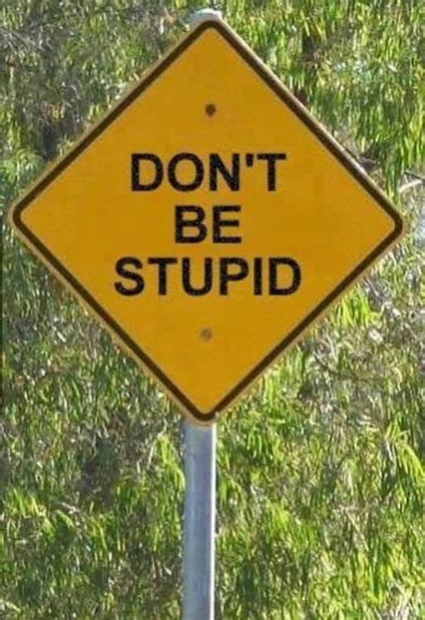 7 Funniest Road Signs