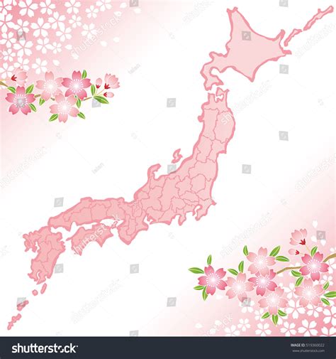 Japan Map Cherry Blossoms Illustration Stock Vector (Royalty Free ...