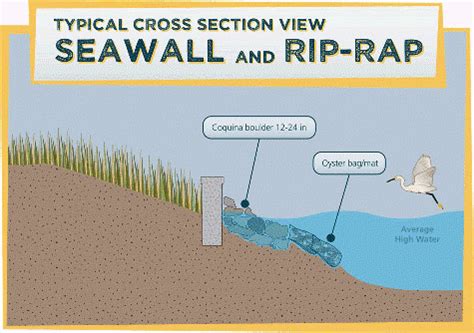 Retaining wall – seawall construction – Top Cebu Contractors