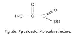 Pyruvic acid | definition of pyruvic acid by Medical dictionary