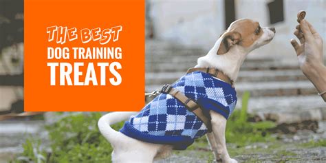 Top 10 Best Dog Training Treats For Adults & Puppies