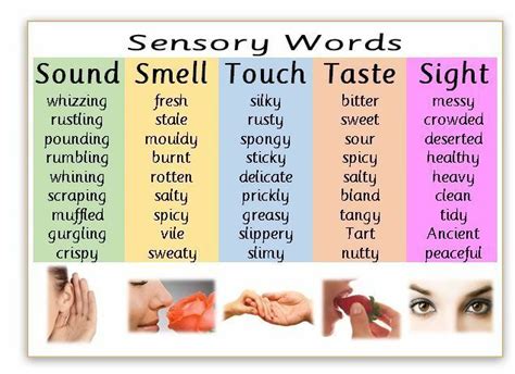 SENSORY WORDS - Creative writing- literacy - SEN - A4 laminated poster ...