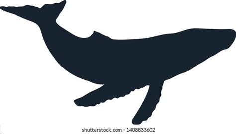 Whale Silhouette Whale Vector Illustration: vector de stock (libre de ...