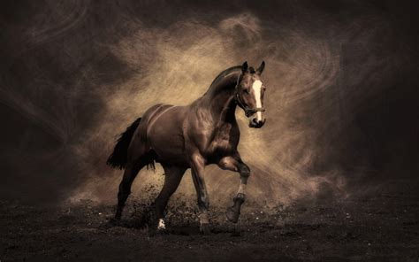 Horse Wallpapers - Wallpaper Cave